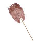 Cumpara ieftin Planta decorativa Flerry Boho Pako World Natural 20x200x8 cm