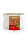 Kit complet pentru plantat - Capsuni | Radis et Capucine