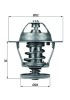 MAHLE TX 68 88D termostat,lichid racire