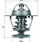 MAHLE TX 68 88D termostat,lichid racire