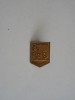 QW9 J 89 - Insigna - tematica pionieri - pionier interpret - varianta monocroma, Romania de la 1950