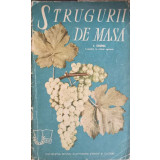 STRUGURII DE MASA-V. DVORNIC-150436