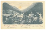 5544 - Baile HERCULANE, Caras-Severin, Panorama, Romania - old postcard - used - 1910