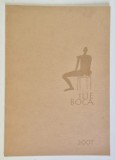 ILIE BOCA , CATALOG , 2007