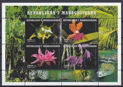 Madagascar - Flora - ORHIDEE - MNH foto