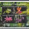 Madagascar - Flora - ORHIDEE - MNH