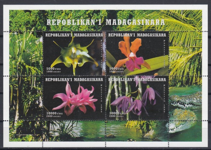 Madagascar - Flora - ORHIDEE - MNH