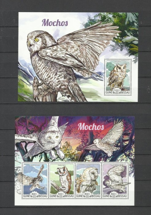 GUINEA BISSAU 2015 PASARI DE PRADA BUFNITE