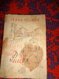 Baietii de pe strada Paul / roman pentru scolari - Francisc Molnar / 210 pagini