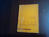 PODUL MOGOSOAIEI Calea Victoriei - Stefan Ionescu - 1964, 141 p.+ harta