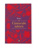 Cantecele iubirii - Razvan Andrei, Shiva Shahram
