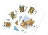 Afghanistan 1985 - Fauna WWF, animale, serie plicuri prima zi