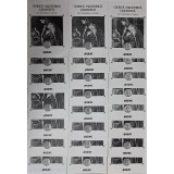 AGEAC - Munca ezoterica gnostica de Camera A Doua - 23 de brosuri -