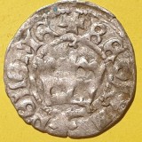 Polonia 1/2 groschen ND (1492-01) argint Jan l Alberti