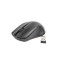Set Tastatura + Mouse Wireless, Gembird KBS-WCH-01-RU, RU layout