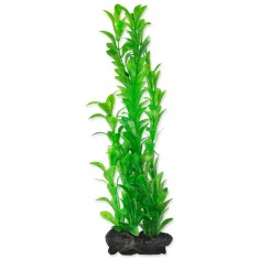 TETRA Plant Hygrophila L 30 cm foto