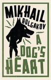A Dog&#039;s Heart | Mikhail Bulgakov
