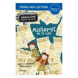 Misterul De La Ziar. Maia Si Alex, Detectivi De Succes (Nivelul 3 Miniroman)
