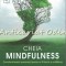 Cheia Mindfulness - Sarah Silverton
