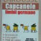 LAROUSSE CAPCANELE LIMBII GERMANE, 2015