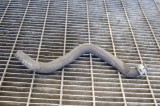 Furtun de lichid de răcire MERCEDES-BENZ E W212 2014 OEM: A2125015782 11224944