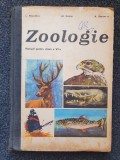 BIOLOGIE MANUAL PENTRU CLASA A VI-A - Bogoescu, Dabija