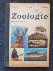 BIOLOGIE MANUAL PENTRU CLASA A VI-A - Bogoescu, Dabija