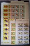 Romania MNH 1963 - Cultura legumelor timpurii - LP 556 X10 (straif de 10 margine de coala)