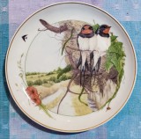 Cumpara ieftin LICHIDARE ! Farfurie decorativa din porțelan fin, Arzberg -