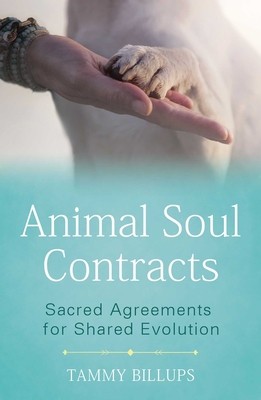 Animal Soul Contracts: Sacred Agreements for Shared Evolution foto