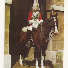 FA45-Carte Postala- ANGLIA - Londra, Sentry of the Life Guard, necirculata