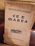 Ce e marea - Comandorul Corneliu Buchholtzer cu dedicatia autorului