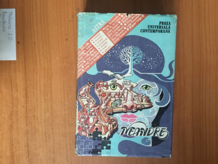 k4 Meandre.Proza universala contemporana