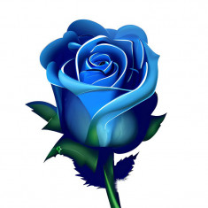 Sticker decorativ, Trandafir, Albastru, 60 cm, 7563ST