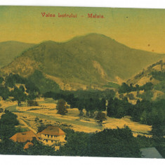 5156 - MALAIA, Valcea, Valea Lotrului, Romania - old postcard - used - 1909