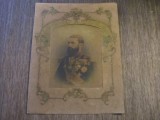 Domnitorul Carol I, cromolitografie .Portret Regal