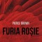 Furia rosie &ndash; Pierce Brown