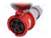 Conector alimentare AC, IEC 60309, IP66, IP67, 0,125kA, 400V AC, 5 pini, PCE - 245-6