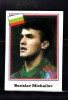 B10 - Sticker fotbal - Campionatul mondial USA - 1994 - nr 253