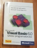 Microsoft Visual Basic 6.0. Ghidul programatorului Teora