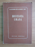 Alexandru Pop - Bruceloza umana