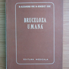 Alexandru Pop - Bruceloza umana