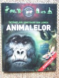Horvathne Cyentye Ibolya - Intamplari uimitoare din lumea animalelor