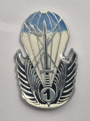 Insigna Operatiuni Speciale clasa I - 41 mm foto