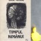 Timpul nimanui Doina Antonie