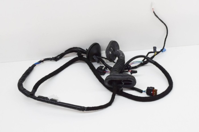 Cablaj ușă st&acirc;nga spate TESLA MODEL 3 2018 OEM: 2067965-00-A 11424808