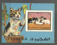 Fujeira 1970 Cats perf. sheet with fault MNH S.581 foto