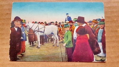 F680-Iarmaroc-Piata sudul Ungariei la 1900 cu General, tarani si caruta cu cal. foto