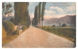 Cumpara ieftin SV * Piatra Neamt * ALEEA SPRE MANASTIREA BISTRITA * 1923, Circulata, Necirculata, Printata