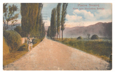 SV * Piatra Neamt * ALEEA SPRE MANASTIREA BISTRITA * 1908 (?) foto